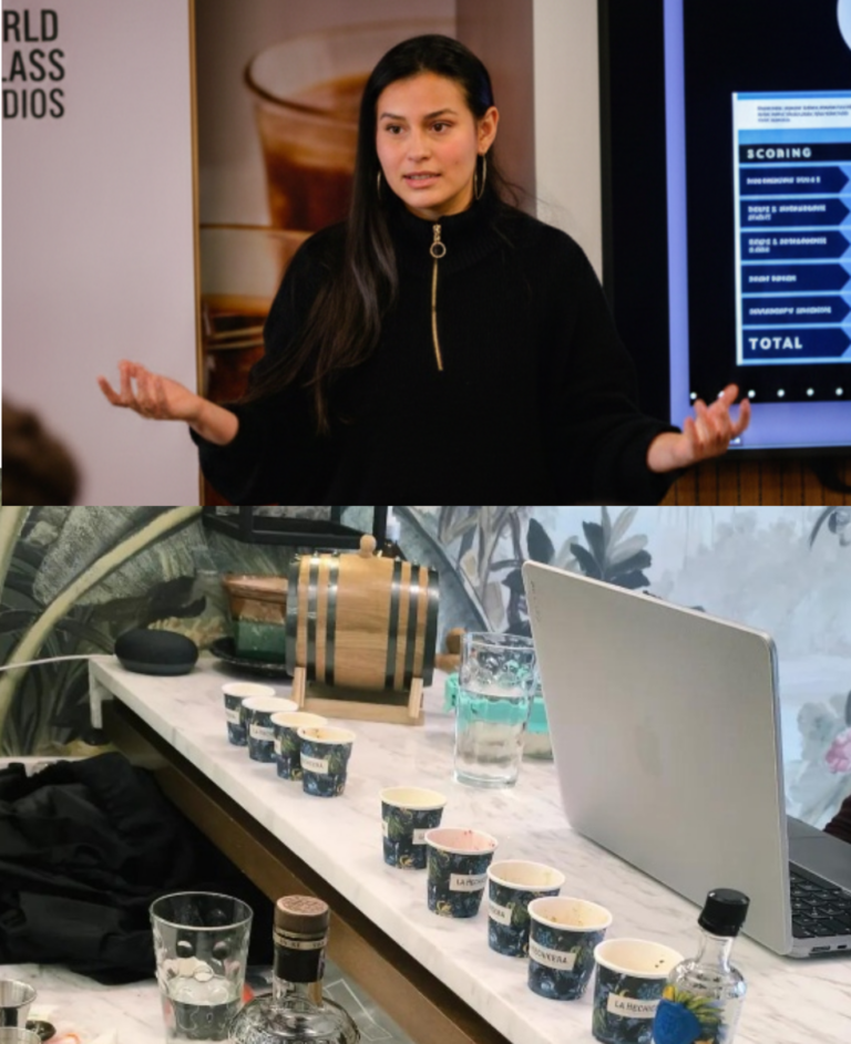 {typeelementor,siteurlhttpsdiannacuervo.comwp-json,elements[{id7ef5dff,elTypewidget,isInnerfalse,isLockedfalse,settings{titlebrCULTURA DE SERVICIO Y